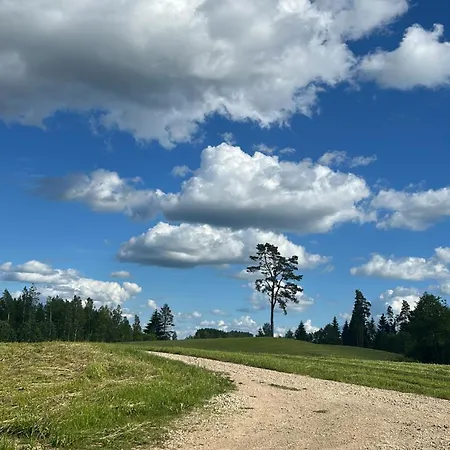 Feriehus Sol Luna Voki